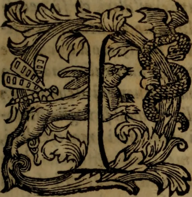 An illustration from La vera dichiaratione di tutte le metafore, similitudini, & enimmi de gl'antichi filosofi alchimisti, tanto caldei & arabi, come greci & latini, vsati da loro nella descrittione, & compositione dell' oro potabile, elissire della vita, quinta essenza, & lapis filosofico : oue con vn breve discorso della generatione de i metalli, & quasi di tutte l'opere di natura, secondo i principij della filosofia, si mostra l'errore, & ignoranza (per non dir l'inganno) di tutti gl'alchimisti moderni, 1587, leaf 26