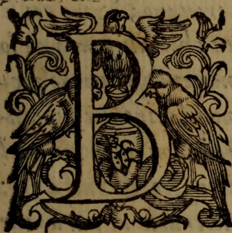 An illustration from La vera dichiaratione di tutte le metafore, similitudini, & enimmi de gl'antichi filosofi alchimisti, tanto caldei & arabi, come greci & latini, vsati da loro nella descrittione, & compositione dell' oro potabile, elissire della vita, quinta essenza, & lapis filosofico : oue con vn breve discorso della generatione de i metalli, & quasi di tutte l'opere di natura, secondo i principij della filosofia, si mostra l'errore, & ignoranza (per non dir l'inganno) di tutti gl'alchimisti moderni, 1587, leaf 6