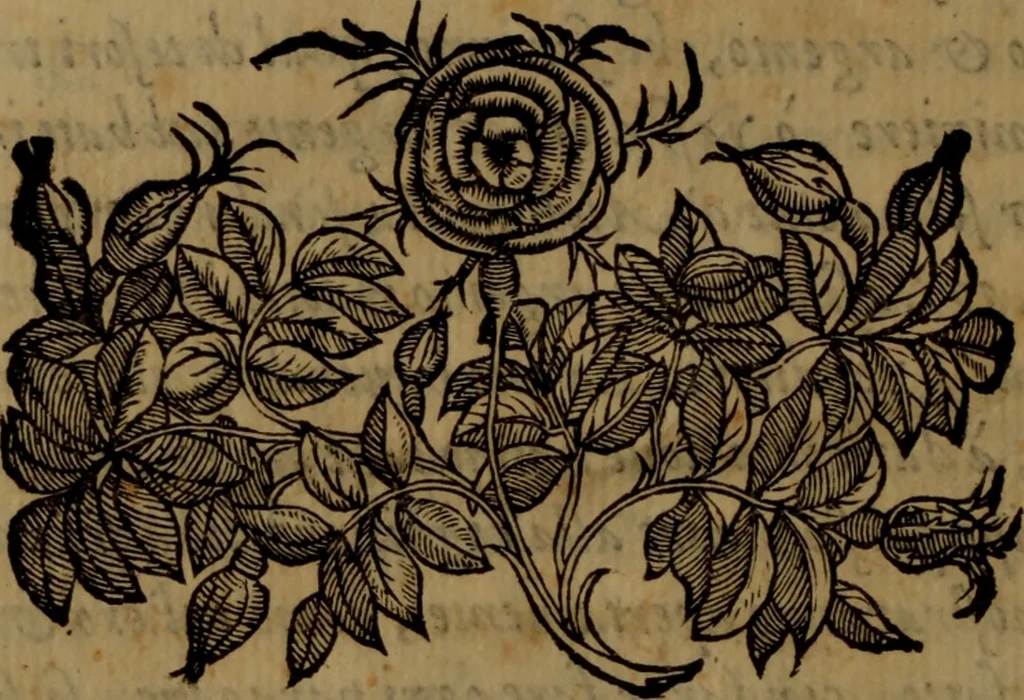 An illustration from La vera dichiaratione di tutte le metafore, similitudini, & enimmi de gl'antichi filosofi alchimisti, tanto caldei & arabi, come greci & latini, vsati da loro nella descrittione, & compositione dell' oro potabile, elissire della vita, quinta essenza, & lapis filosofico : oue con vn breve discorso della generatione de i metalli, & quasi di tutte l'opere di natura, secondo i principij della filosofia, si mostra l'errore, & ignoranza (per non dir l'inganno) di tutti gl'alchimisti moderni, 1587, leaf 7