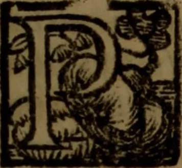 An illustration from La vera dichiaratione di tutte le metafore, similitudini, & enimmi de gl'antichi filosofi alchimisti, tanto caldei & arabi, come greci & latini, vsati da loro nella descrittione, & compositione dell' oro potabile, elissire della vita, quinta essenza, & lapis filosofico : oue con vn breve discorso della generatione de i metalli, & quasi di tutte l'opere di natura, secondo i principij della filosofia, si mostra l'errore, & ignoranza (per non dir l'inganno) di tutti gl'alchimisti moderni, 1587, leaf 74