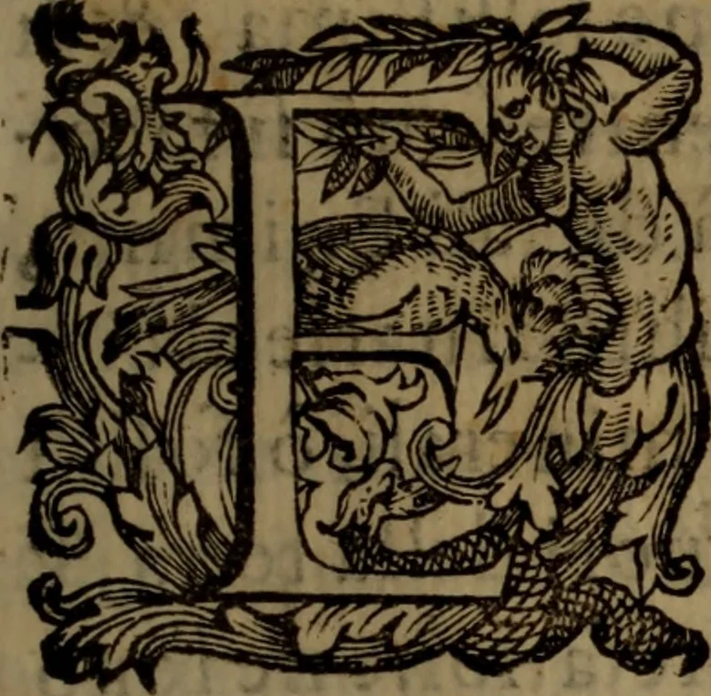 An illustration from La vera dichiaratione di tutte le metafore, similitudini, & enimmi de gl'antichi filosofi alchimisti, tanto caldei & arabi, come greci & latini, vsati da loro nella descrittione, & compositione dell' oro potabile, elissire della vita, quinta essenza, & lapis filosofico : oue con vn breve discorso della generatione de i metalli, & quasi di tutte l'opere di natura, secondo i principij della filosofia, si mostra l'errore, & ignoranza (per non dir l'inganno) di tutti gl'alchimisti moderni, 1587, leaf 8