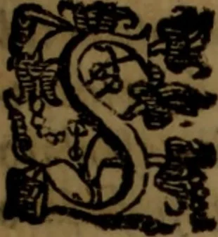 An illustration from La vera dichiaratione di tutte le metafore, similitudini, & enimmi de gl'antichi filosofi alchimisti, tanto caldei & arabi, come greci & latini, vsati da loro nella descrittione, & compositione dell' oro potabile, elissire della vita, quinta essenza, & lapis filosofico : oue con vn breve discorso della generatione de i metalli, & quasi di tutte l'opere di natura, secondo i principij della filosofia, si mostra l'errore, & ignoranza (per non dir l'inganno) di tutti gl'alchimisti moderni, 1587, leaf 98