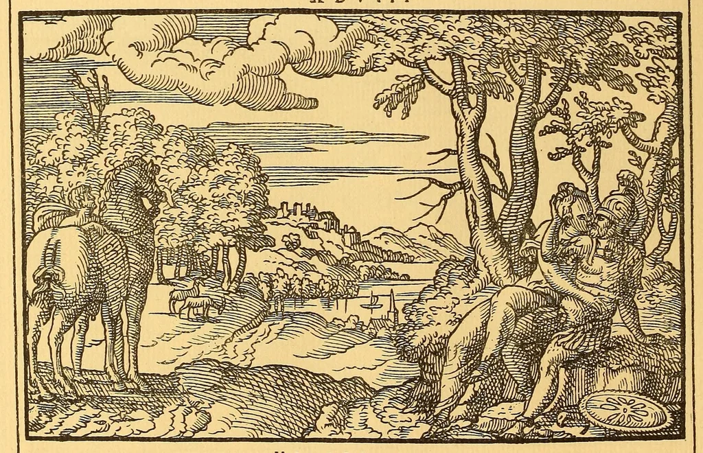 An illustration from La vera perfezione del disegno per punti e recami; riproduzione della edizione di Venezia del 1561 dall'esemplare della Biblioteca Corsiniana in Roma, 1909, leaf 64