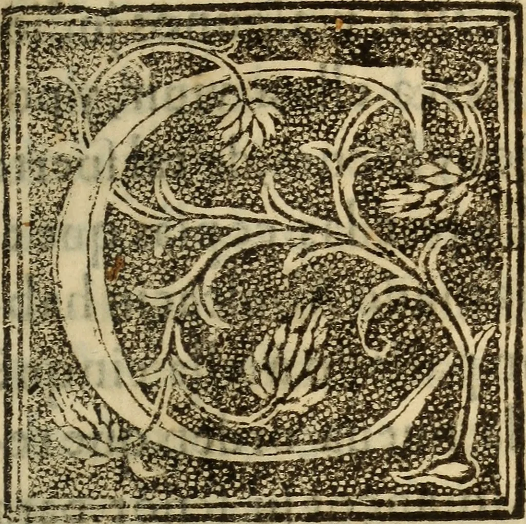 An illustration from La verdadera hystoria del rey Don Rodrigo : en la qual se trata la causa principal dela perdida de España y la co[n]quista que della hizo Miramamolin Almáçor Rey que fue del Africa, y de las Arabias : Co[n]puesta por el sabio Alcayde Abulcacim Tarif Abentariq, de nacion Arbe, y natural de la Arabia Petrea, 1592, leaf 166
