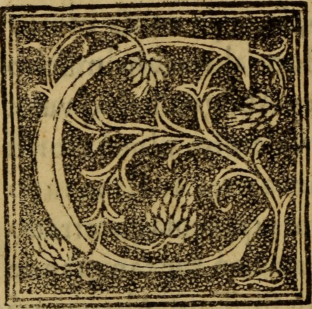 An illustration from La verdadera hystoria del rey Don Rodrigo : en la qual se trata la causa principal dela perdida de España y la co[n]quista que della hizo Miramamolin Almáçor Rey que fue del Africa, y de las Arabias : Co[n]puesta por el sabio Alcayde Abulcacim Tarif Abentariq, de nacion Arbe, y natural de la Arabia Petrea, 1592, leaf 209