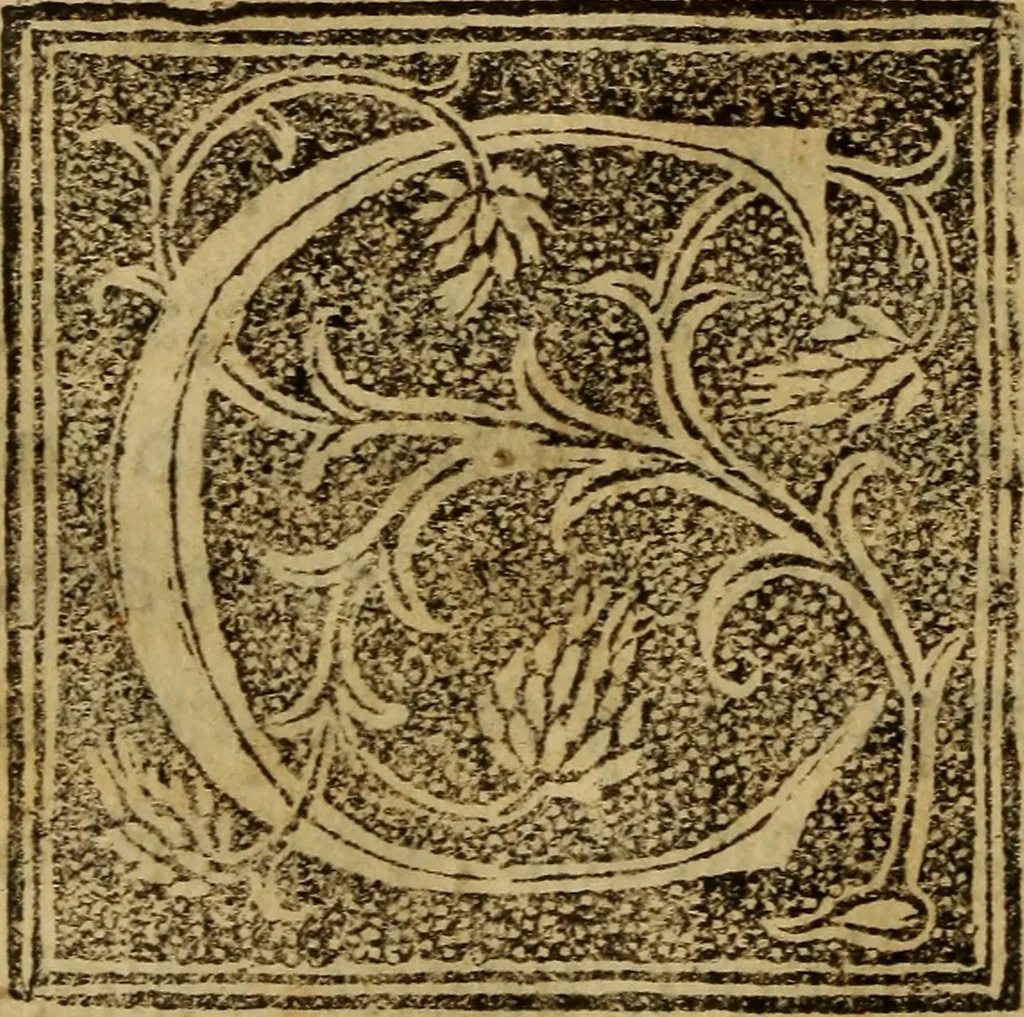 An illustration from La verdadera hystoria del rey Don Rodrigo : en la qual se trata la causa principal dela perdida de España y la co[n]quista que della hizo Miramamolin Almáçor Rey que fue del Africa, y de las Arabias : Co[n]puesta por el sabio Alcayde Abulcacim Tarif Abentariq, de nacion Arbe, y natural de la Arabia Petrea, 1592, leaf 241