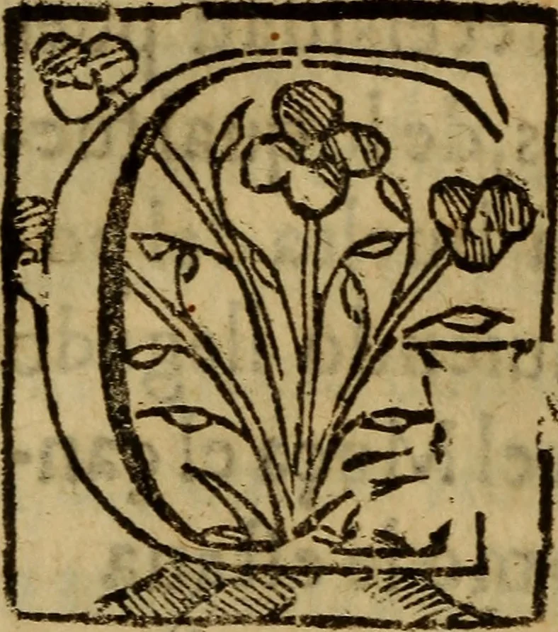 An illustration from La verdadera hystoria del rey Don Rodrigo : en la qual se trata la causa principal dela perdida de España y la co[n]quista que della hizo Miramamolin Almáçor Rey que fue del Africa, y de las Arabias : Co[n]puesta por el sabio Alcayde Abulcacim Tarif Abentariq, de nacion Arbe, y natural de la Arabia Petrea, 1592, leaf 245