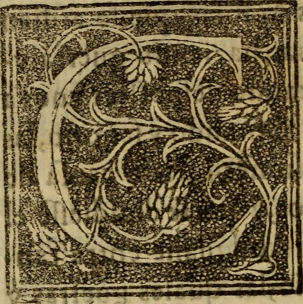 An illustration from La verdadera hystoria del rey Don Rodrigo : en la qual se trata la causa principal dela perdida de España y la co[n]quista que della hizo Miramamolin Almáçor Rey que fue del Africa, y de las Arabias : Co[n]puesta por el sabio Alcayde Abulcacim Tarif Abentariq, de nacion Arbe, y natural de la Arabia Petrea, 1592, leaf 253