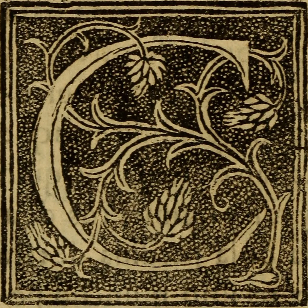 An illustration from La verdadera hystoria del rey Don Rodrigo : en la qual se trata la causa principal dela perdida de España y la co[n]quista que della hizo Miramamolin Almáçor Rey que fue del Africa, y de las Arabias : Co[n]puesta por el sabio Alcayde Abulcacim Tarif Abentariq, de nacion Arbe, y natural de la Arabia Petrea, 1592, leaf 261