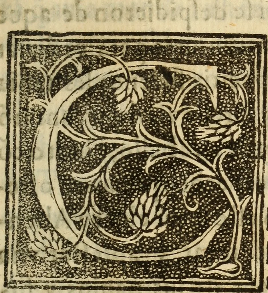 An illustration from La verdadera hystoria del rey Don Rodrigo : en la qual se trata la causa principal dela perdida de España y la co[n]quista que della hizo Miramamolin Almáçor Rey que fue del Africa, y de las Arabias : Co[n]puesta por el sabio Alcayde Abulcacim Tarif Abentariq, de nacion Arbe, y natural de la Arabia Petrea, 1592, leaf 266