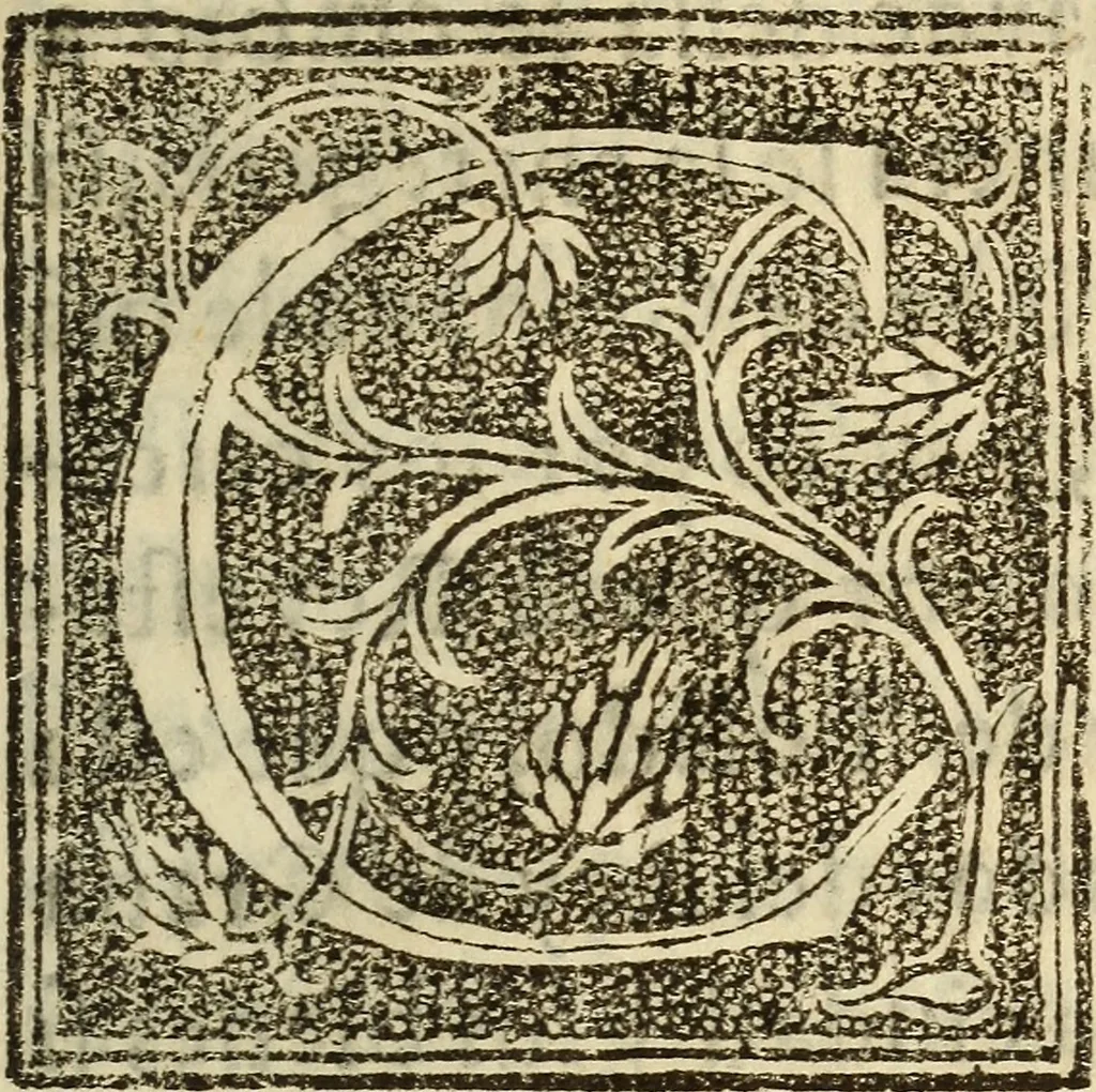 An illustration from La verdadera hystoria del rey Don Rodrigo : en la qual se trata la causa principal dela perdida de España y la co[n]quista que della hizo Miramamolin Almáçor Rey que fue del Africa, y de las Arabias : Co[n]puesta por el sabio Alcayde Abulcacim Tarif Abentariq, de nacion Arbe, y natural de la Arabia Petrea, 1592, leaf 302