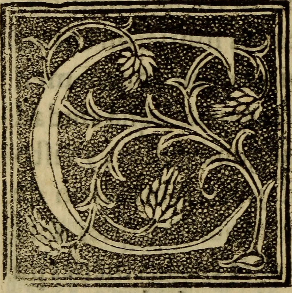 An illustration from La verdadera hystoria del rey Don Rodrigo : en la qual se trata la causa principal dela perdida de España y la co[n]quista que della hizo Miramamolin Almáçor Rey que fue del Africa, y de las Arabias : Co[n]puesta por el sabio Alcayde Abulcacim Tarif Abentariq, de nacion Arbe, y natural de la Arabia Petrea, 1592, leaf 317