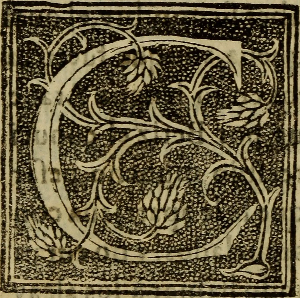 An illustration from La verdadera hystoria del rey Don Rodrigo : en la qual se trata la causa principal dela perdida de España y la co[n]quista que della hizo Miramamolin Almáçor Rey que fue del Africa, y de las Arabias : Co[n]puesta por el sabio Alcayde Abulcacim Tarif Abentariq, de nacion Arbe, y natural de la Arabia Petrea, 1592, leaf 327