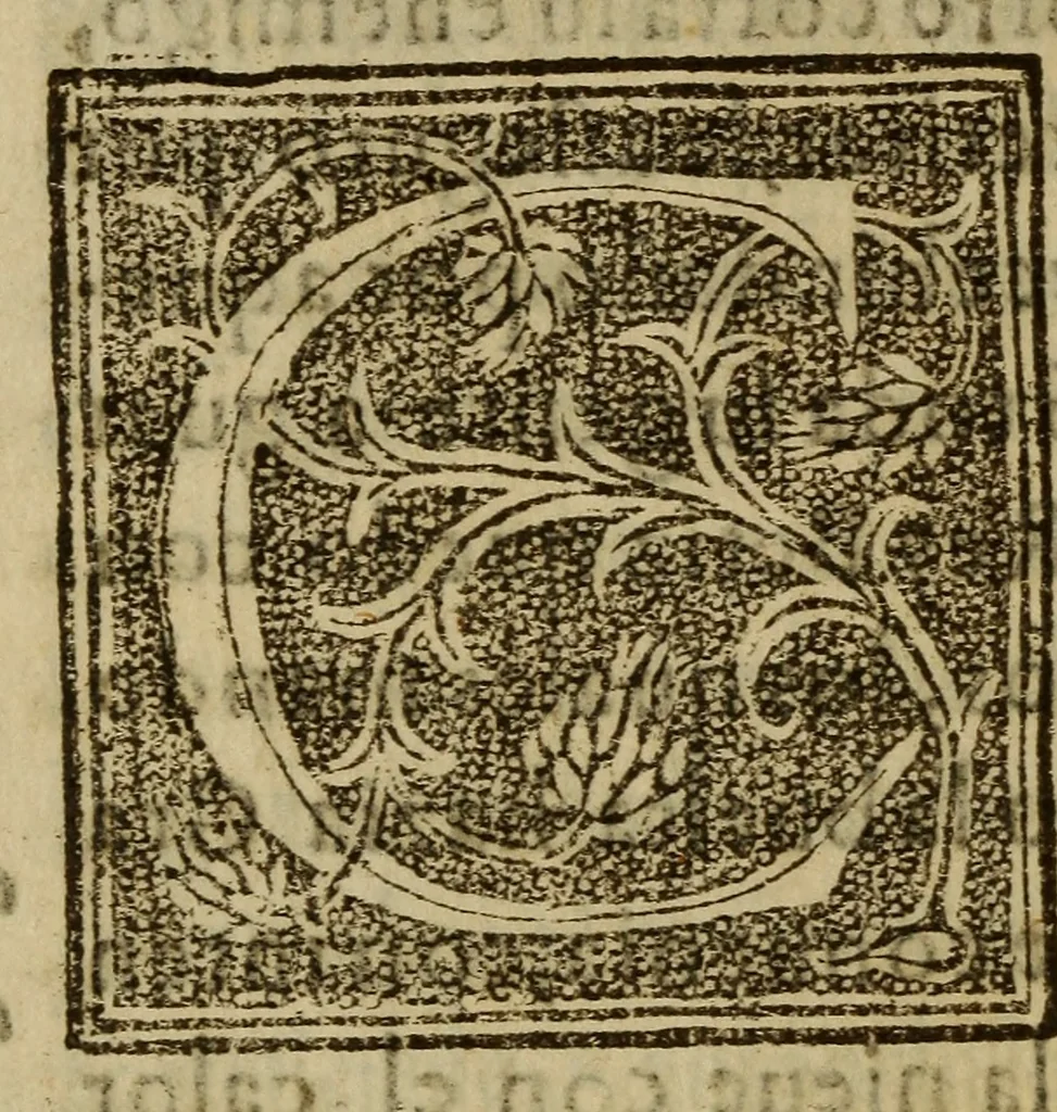 An illustration from La verdadera hystoria del rey Don Rodrigo : en la qual se trata la causa principal dela perdida de España y la co[n]quista que della hizo Miramamolin Almáçor Rey que fue del Africa, y de las Arabias : Co[n]puesta por el sabio Alcayde Abulcacim Tarif Abentariq, de nacion Arbe, y natural de la Arabia Petrea, 1592, leaf 331