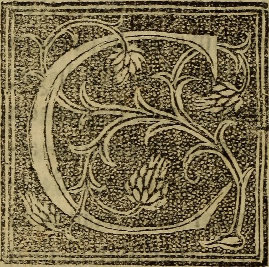 An illustration from La verdadera hystoria del rey Don Rodrigo : en la qual se trata la causa principal dela perdida de España y la co[n]quista que della hizo Miramamolin Almáçor Rey que fue del Africa, y de las Arabias : Co[n]puesta por el sabio Alcayde Abulcacim Tarif Abentariq, de nacion Arbe, y natural de la Arabia Petrea, 1592, leaf 37
