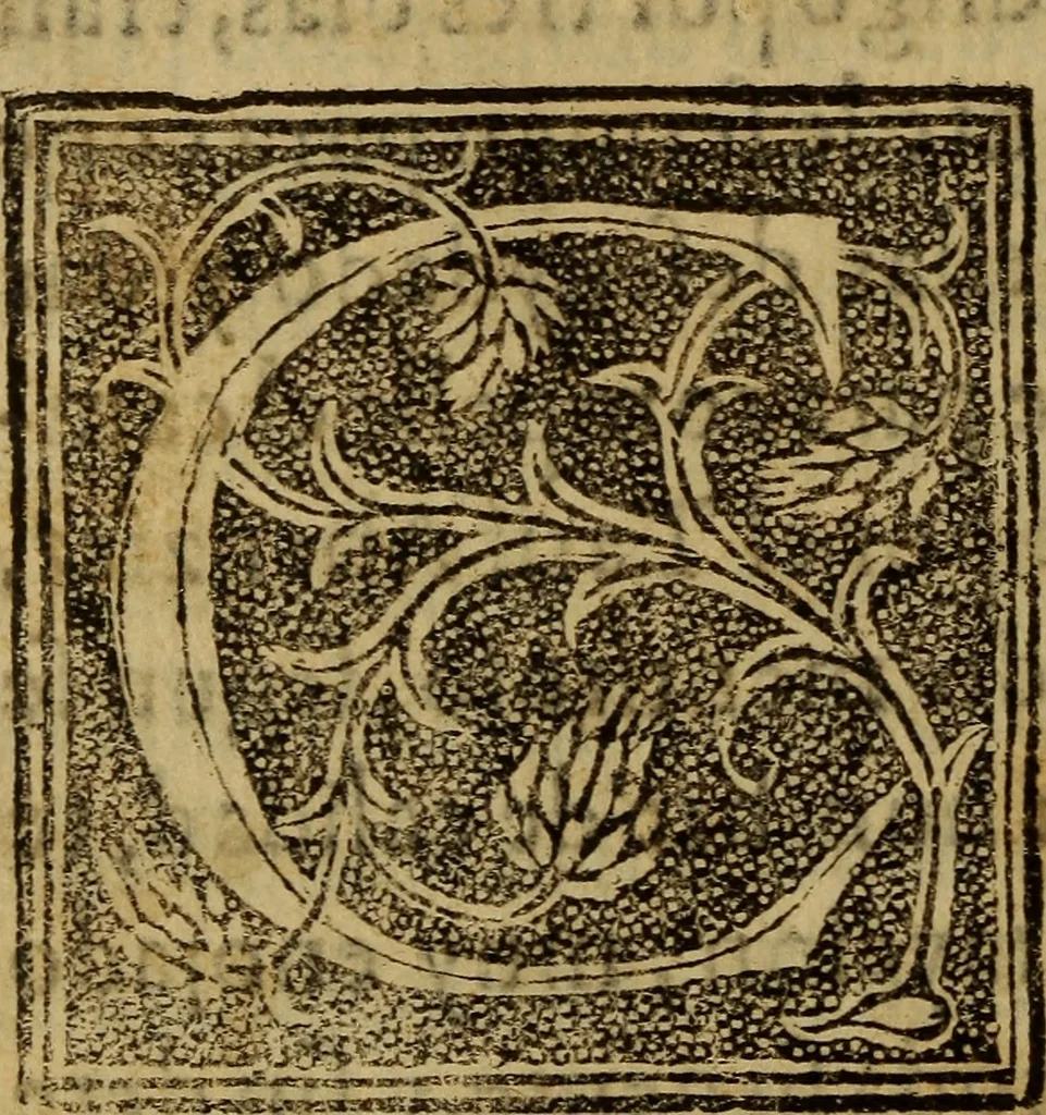 An illustration from La verdadera hystoria del rey Don Rodrigo : en la qual se trata la causa principal dela perdida de España y la co[n]quista que della hizo Miramamolin Almáçor Rey que fue del Africa, y de las Arabias : Co[n]puesta por el sabio Alcayde Abulcacim Tarif Abentariq, de nacion Arbe, y natural de la Arabia Petrea, 1592, leaf 85