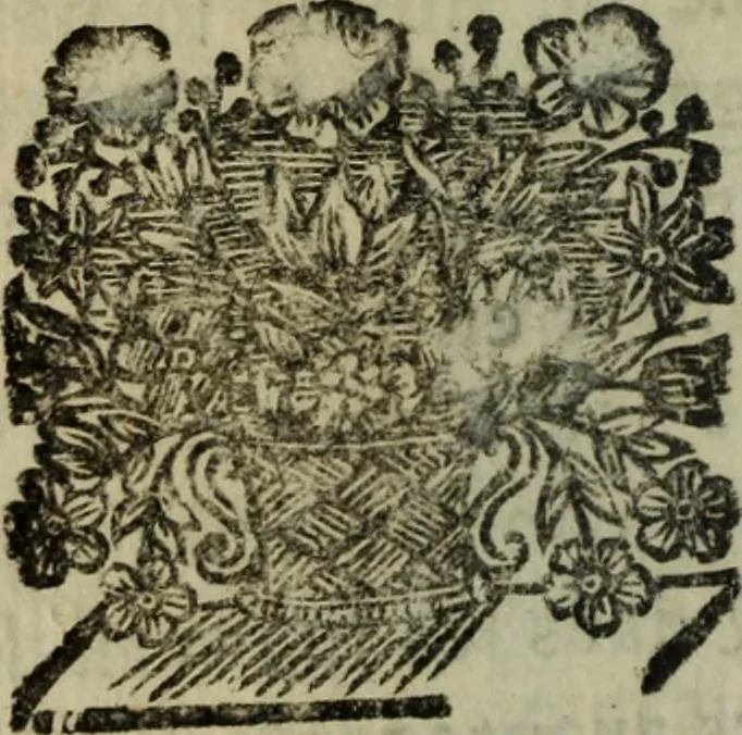 An illustration from La veritable politique des perssonnes de qualité.., 1692, leaf 161