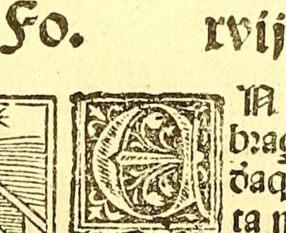 An illustration from La vida y excelencias & miraglos dla sacratissima virgen Maria nuestra señora, 1525, leaf 36