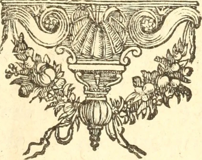 An illustration from La vie de Dom Barthelemy des Martyrs, religieux de l'Ordre des Dominique : Tirée de son histoire êcrits en Espagnol & en Portugais par cinq autheurs, 1679, leaf 4