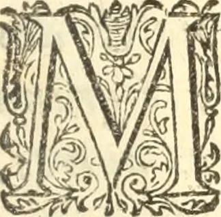 An illustration from La vie de Dom Barthelemy des Martyrs, religieux de l'Ordre des Dominique : Tirée de son histoire êcrits en Espagnol & en Portugais par cinq autheurs, 1679, leaf 6