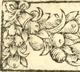 An illustration from La vie de Dom Barthelemy des Martyrs, religieux de l'Ordre des Dominique : Tirée de son histoire êcrits en Espagnol & en Portugais par cinq autheurs, 1679, leaf 6