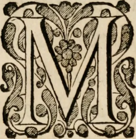 An illustration from La vie de Franc̜ois, seignevr de La Nouë, dit Bras-de-fer, ou sont contenuës, quantité de choses memorables, qui servent à l'éclaircissement de celles qui se sont passées en France & au Pays-Bas, depuis le commencement des troubles survenus pour la religion, jusques à l'an 1591. par mr Moyse Amirault, 1661, leaf 8