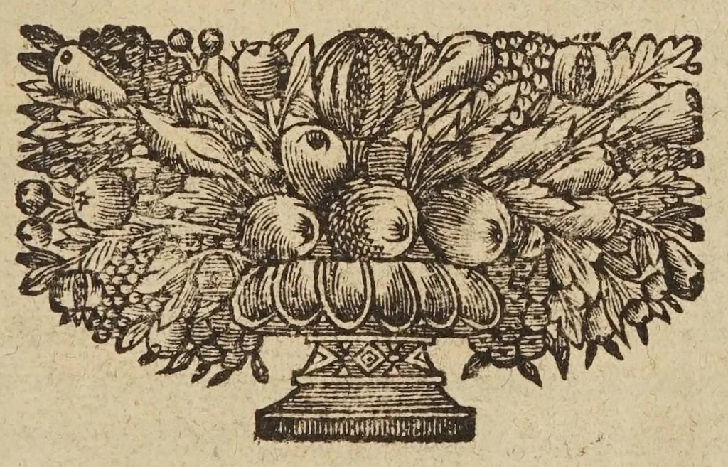 An illustration from La vie de la mere Catherine de Saint Avgvstin : religievse hospitaliere de la Misericorde de Quebec en la Nouvelle-France, 1671, leaf 13