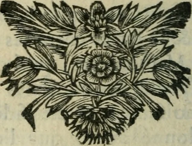 An illustration from La Vie de Mademoiselle Le Gras : fondatrice et première supérieure de la Compagnie des Filles de la Charité, Servantes des pauvres malades, 1676, leaf 125