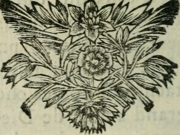 An illustration from La Vie de Mademoiselle Le Gras : fondatrice et première supérieure de la Compagnie des Filles de la Charité, Servantes des pauvres malades, 1676, leaf 285