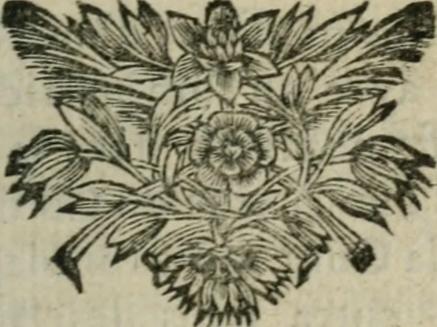 An illustration from La Vie de Mademoiselle Le Gras : fondatrice et première supérieure de la Compagnie des Filles de la Charité, Servantes des pauvres malades, 1676, leaf 46