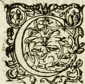 An illustration from La Vie de Monsieur de Renty, 1651, leaf 239