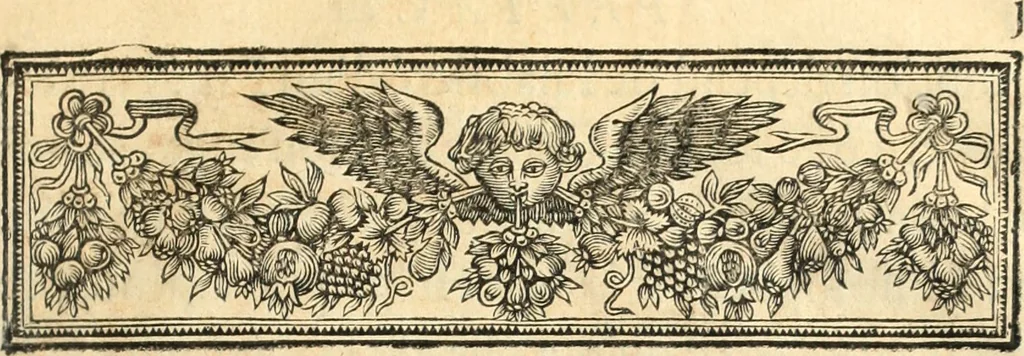An illustration from La Vie de monsieur Des-Cartes, 1691, leaf 12