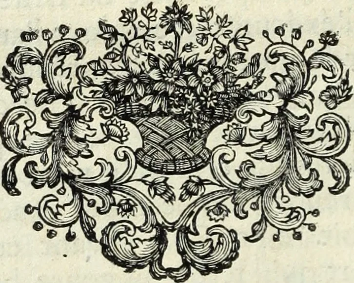 An illustration from La Vie de monsieur Des-Cartes, 1691, leaf 239