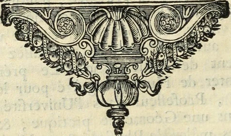 An illustration from La Vie de monsieur Des-Cartes, 1691, leaf 345