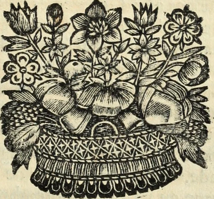 An illustration from La Vie de monsieur Des-Cartes, 1691, leaf 460