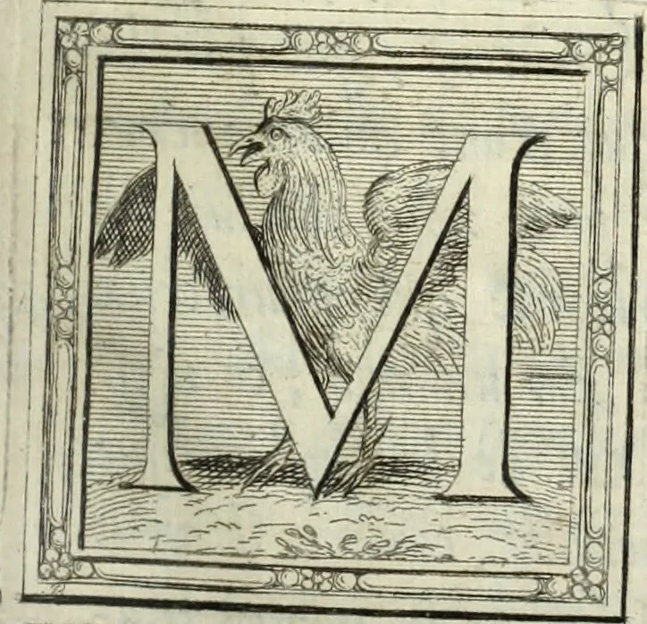 An illustration from La Vie de monsieur Des-Cartes, 1691, leaf 6
