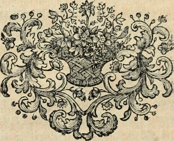 An illustration from La Vie de monsieur Des-Cartes, 1691, leaf 187