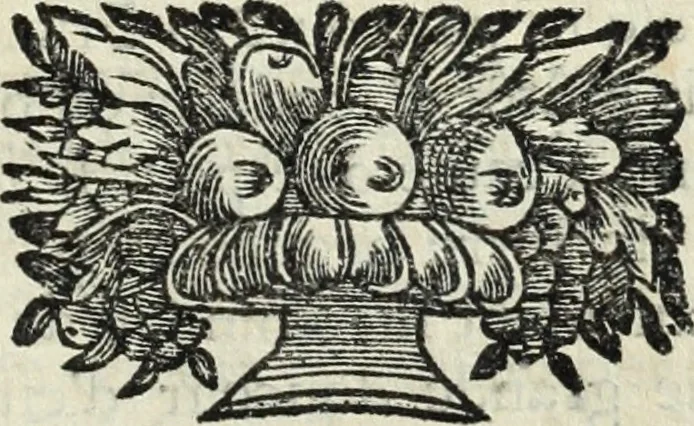 An illustration from La Vie de monsieur Des-Cartes, 1691, leaf 218