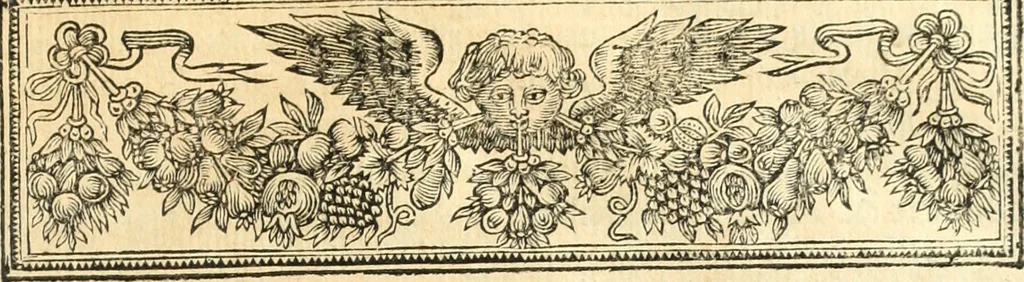An illustration from La Vie de monsieur Des-Cartes, 1691, leaf 470