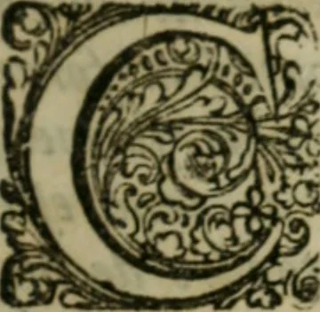 An illustration from La vie de Pierre du Bosc, ministre du Saint Evangile : enrichie de lettres, harangues, dissertations & autres pieces importantes qui regardent ou la theologie ou les affaires des Eglises Reformées de France .., 1694, leaf 462