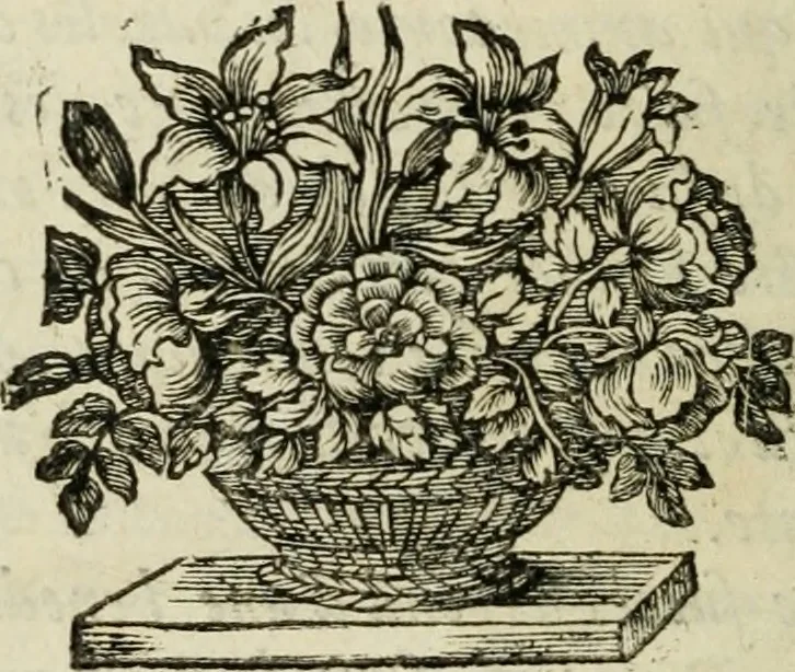An illustration from La vie de Saint Jean Chrysostome Patriarche de Constantinople, & docteur de l'Eglise : Divisée en dovze livres ; dont les neuf premiers contiennent l'histoire de sa vie, et les trois derniers représentent son esprit & sa conduite, 1669, leaf 15