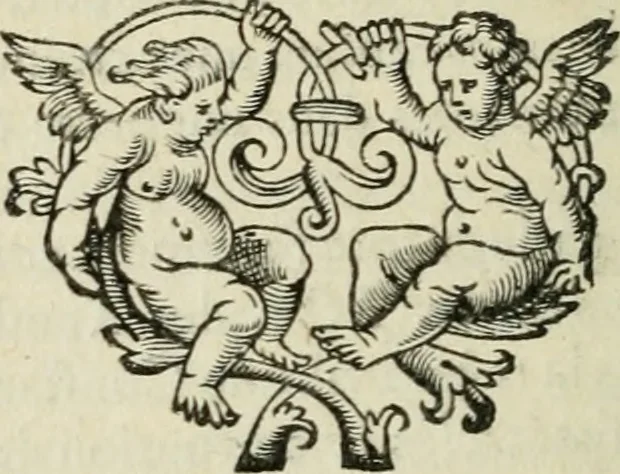 An illustration from La vie de Saint Jean Chrysostome Patriarche de Constantinople, & docteur de l'Eglise : Divisée en dovze livres ; dont les neuf premiers contiennent l'histoire de sa vie, et les trois derniers représentent son esprit & sa conduite, 1669, leaf 307
