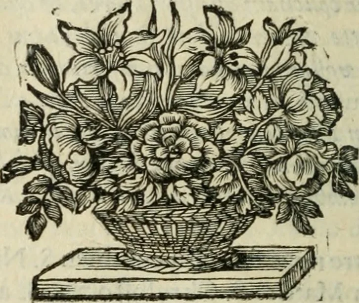 An illustration from La vie de Saint Jean Chrysostome Patriarche de Constantinople, & docteur de l'Eglise : Divisée en dovze livres ; dont les neuf premiers contiennent l'histoire de sa vie, et les trois derniers représentent son esprit & sa conduite, 1669, leaf 417
