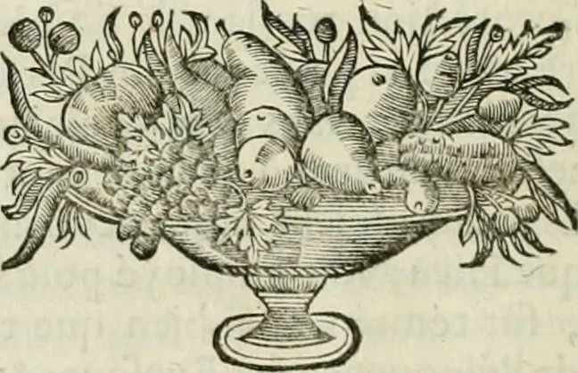 An illustration from La vie de S. Athanase, patriarche d'Alexandrie : divisée en douze livres : qui comprend encore l'histoire de S. Eustathe d'Antioche, de S. Paul de Constantinople, de S. Hilaire de Poitiers, de S. Eusebe de Verceil, des Papes Jules & Libere, & de plusieurs autres Saints; avec la naissance & le progrès de l'Arianisme, 1671, leaf 221
