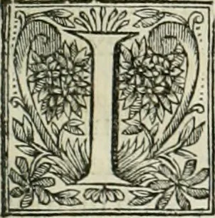 An illustration from La vie de S. Athanase, patriarche d'Alexandrie : divisée en douze livres : qui comprend encore l'histoire de S. Eustathe d'Antioche, de S. Paul de Constantinople, de S. Hilaire de Poitiers, de S. Eusebe de Verceil, des Papes Jules & Libere, & de plusieurs autres Saints; avec la naissance & le progrès de l'Arianisme, 1671, leaf 30