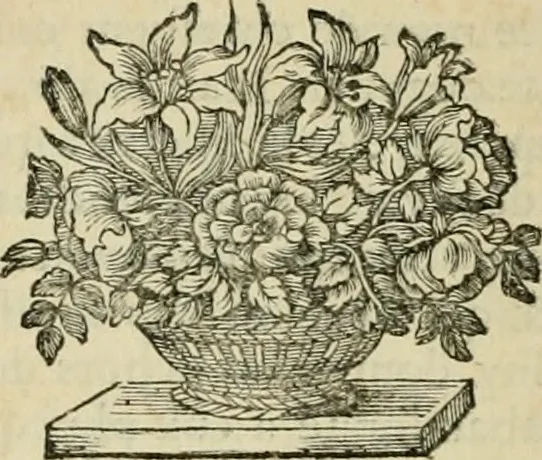 An illustration from La vie de S. Athanase, patriarche d'Alexandrie : divisée en douze livres : qui comprend encore l'histoire de S. Eustathe d'Antioche, de S. Paul de Constantinople, de S. Hilaire de Poitiers, de S. Eusebe de Verceil, des Papes Jules & Libere, & de plusieurs autres Saints; avec la naissance & le progrès de l'Arianisme, 1671, leaf 307
