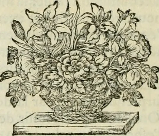 An illustration from La vie de S. Athanase, patriarche d'Alexandrie : divisée en douze livres : qui comprend encore l'histoire de S. Eustathe d'Antioche, de S. Paul de Constantinople, de S. Hilaire de Poitiers, de S. Eusebe de Verceil, des Papes Jules & Libere, & de plusieurs autres Saints; avec la naissance & le progrès de l'Arianisme, 1671, leaf 421