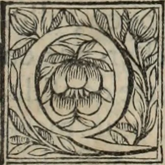 An illustration from La vie de S. Athanase, patriarche d'Alexandrie : divisée en douze livres : qui comprend encore l'histoire de S. Eustathe d'Antioche, de S. Paul de Constantinople, de S. Hilaire de Poitiers, de S. Eusebe de Verceil, des Papes Jules & Libere, & de plusieurs autres Saints; avec la naissance & le progrès de l'Arianisme, 1671, leaf 158
