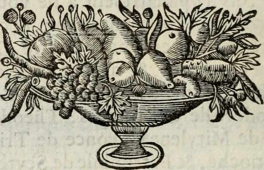 An illustration from La vie de S. Athanase, patriarche d'Alexandrie : divisée en douze livres : qui comprend encore l'histoire de S. Eustathe d'Antioche, de S. Paul de Constantinople, de S. Hilaire de Poitiers, de S. Eusebe de Verceil, des Papes Jules & Libere, & de plusieurs autres Saints; avec la naissance & le progrès de l'Arianisme, 1671, leaf 279
