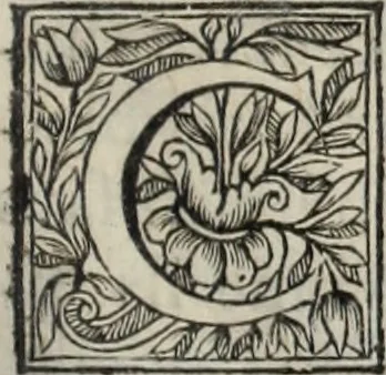 An illustration from La vie de S. Athanase, patriarche d'Alexandrie : divisée en douze livres : qui comprend encore l'histoire de S. Eustathe d'Antioche, de S. Paul de Constantinople, de S. Hilaire de Poitiers, de S. Eusebe de Verceil, des Papes Jules & Libere, & de plusieurs autres Saints; avec la naissance & le progrès de l'Arianisme, 1671, leaf 280